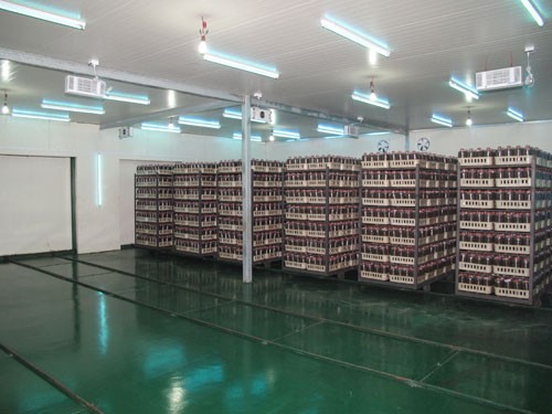 1638754070844792.jpg 接種室.jpg